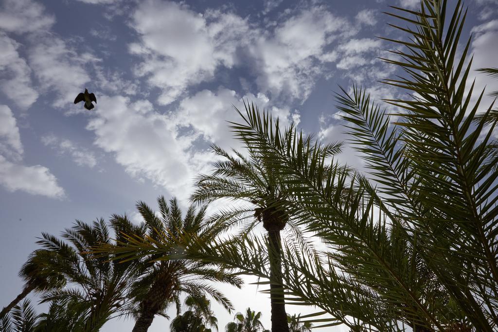 Dar Ayniwen Garden Hotel&Bird Zoo Marrakesch Exterior foto