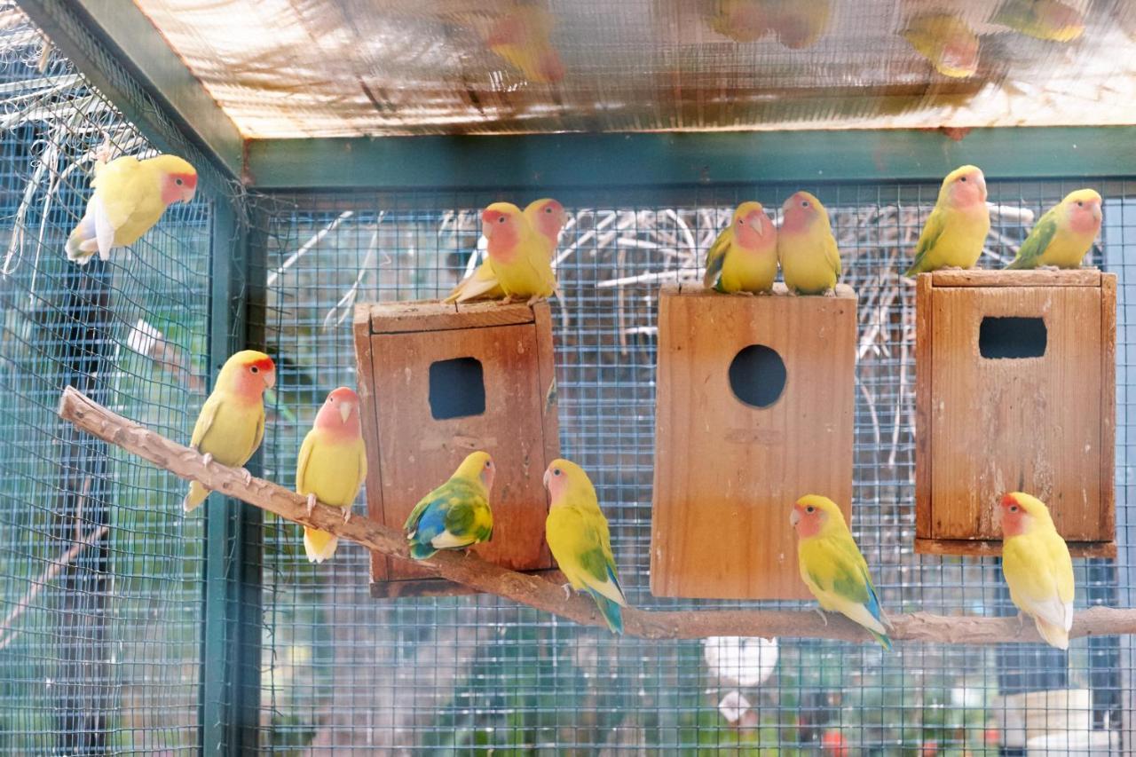 Dar Ayniwen Garden Hotel&Bird Zoo Marrakesch Exterior foto